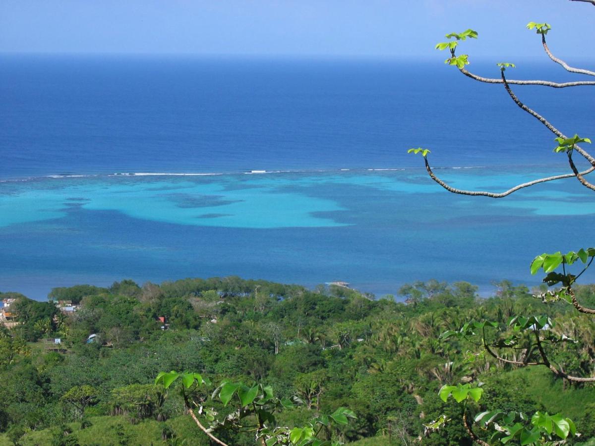 Roatan Bed & Breakfast Apartments West End Εξωτερικό φωτογραφία