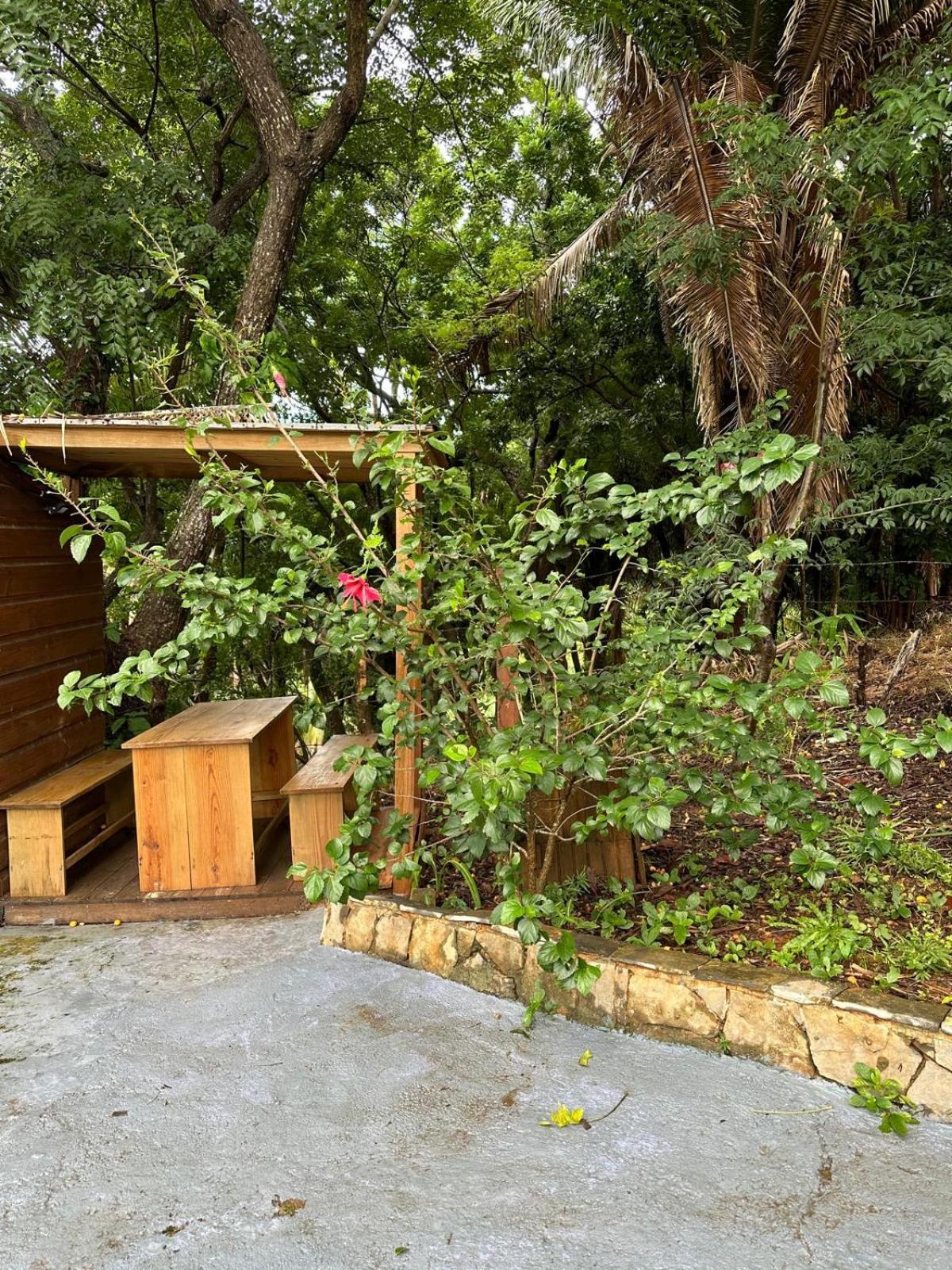 Roatan Bed & Breakfast Apartments West End Εξωτερικό φωτογραφία