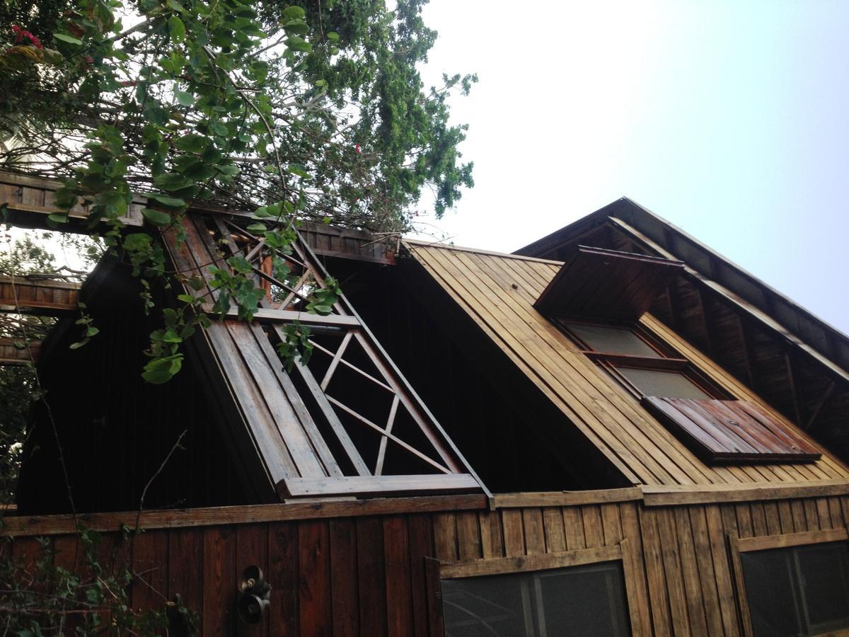 Roatan Bed & Breakfast Apartments West End Εξωτερικό φωτογραφία